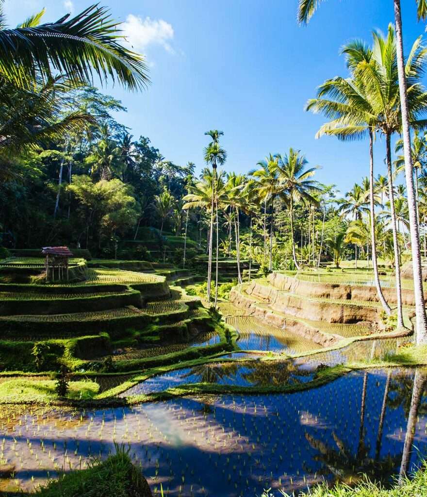 ubud